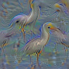 n02009229 little blue heron, Egretta caerulea